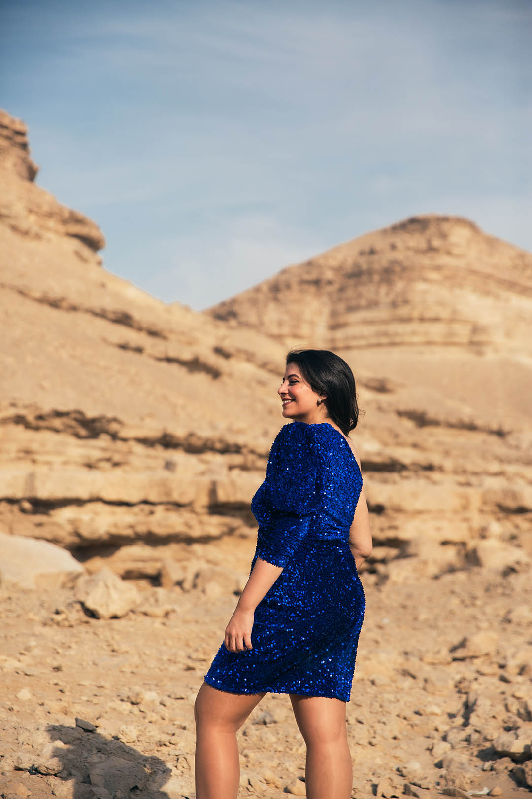 Velvet Sequin Puff Sleeve Dress - Blue