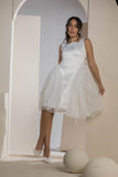 Chic Side Panel Lace Dress - White
