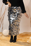 Glam Silver Sequin Coin Skirt