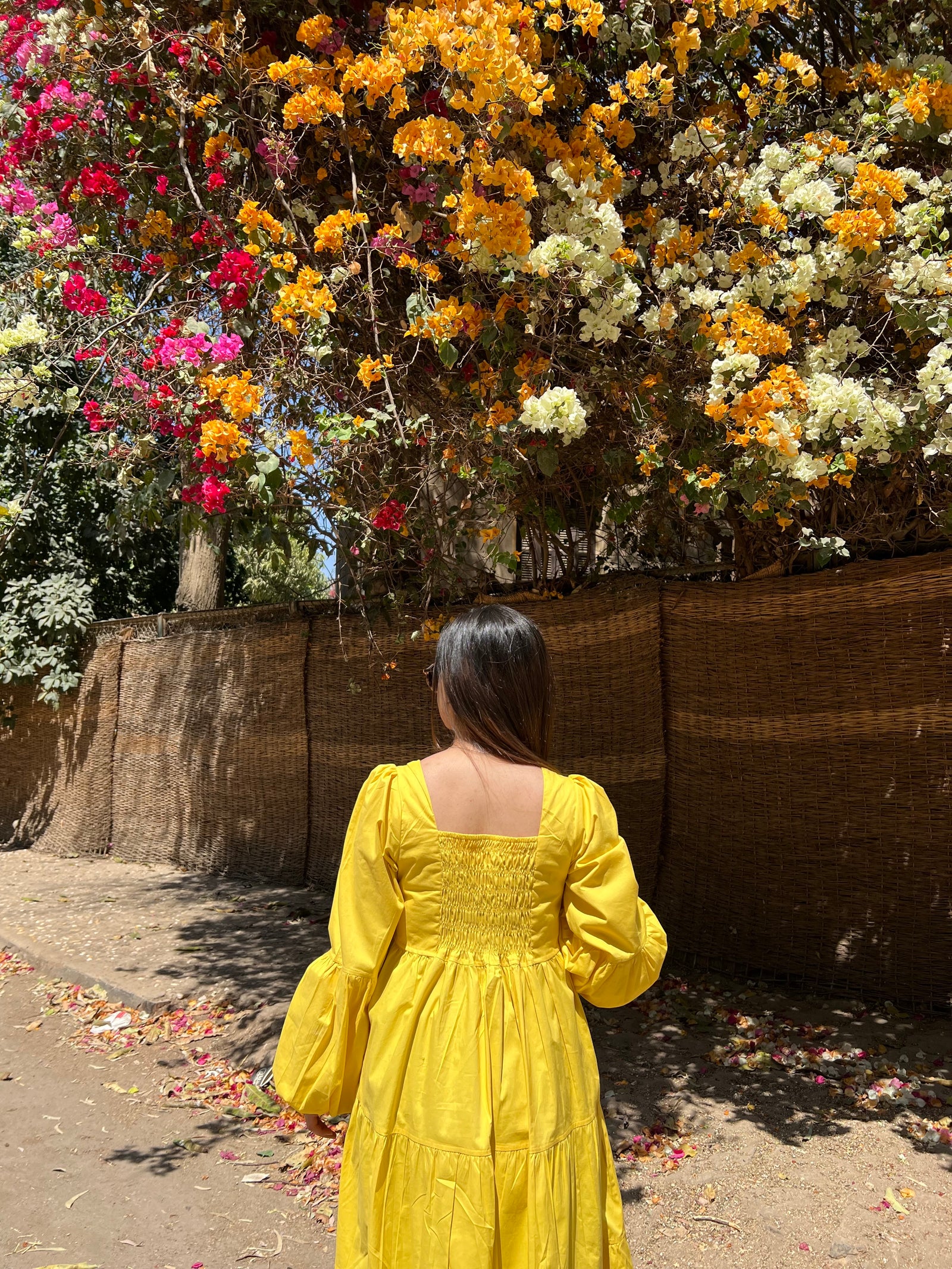 Tiered Poplin Dress with puff sleeves- Yellow