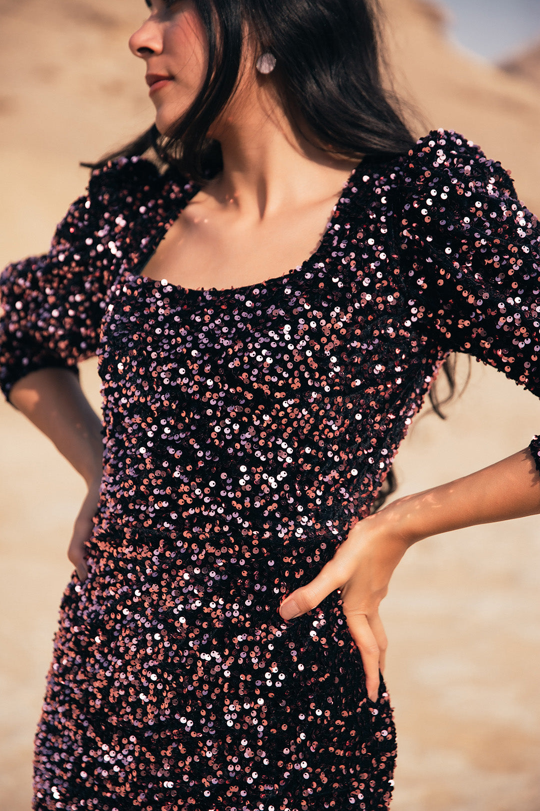 Velvet Sequin Puff Sleeve Dress - Brown